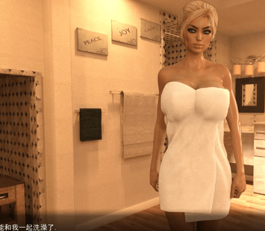 309.安卓+PC 完美生活 V1.501精翻汉化版/付存档/3G