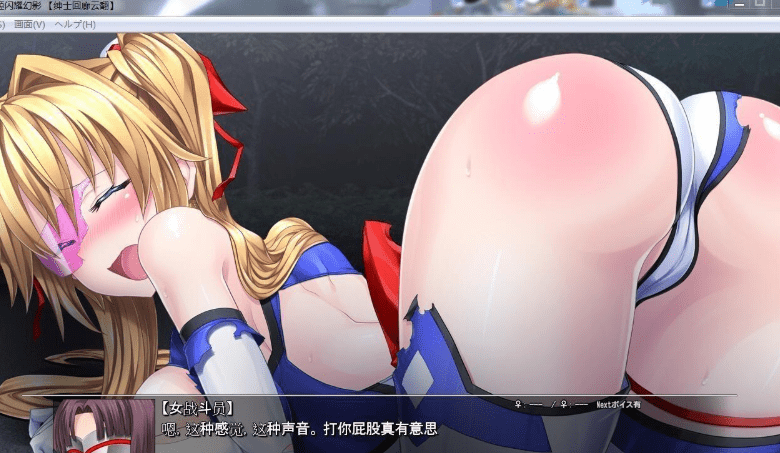 353变幻装姬：闪耀幻影！Ver1.04 汉化版+动画+中文漫画【4G】 [ACT游戏] 【大型ACT汉化全动态】